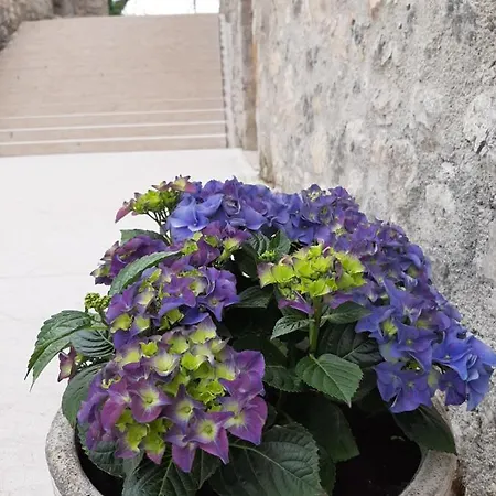 Castle Hotel Vinica