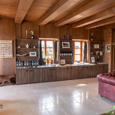 Castle Boutique & Hotel Vinica