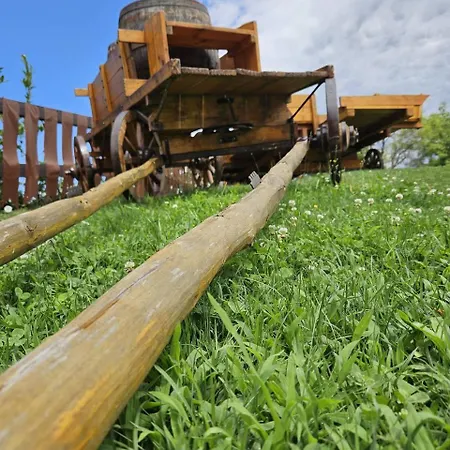 Castle Boutique & Vinica