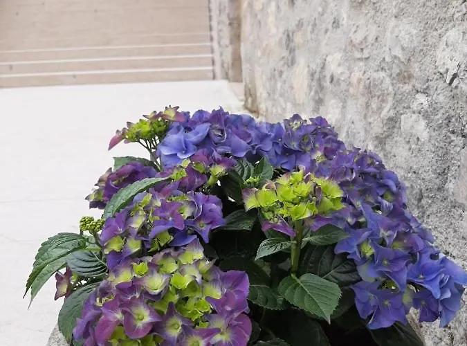 Castle Boutique & Hotel Vinica