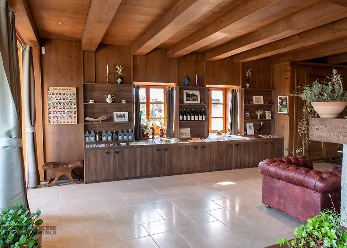 Castle Boutique & Hotel Vinica